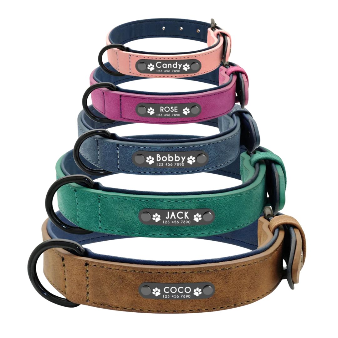 Leather Collar + Leash Set