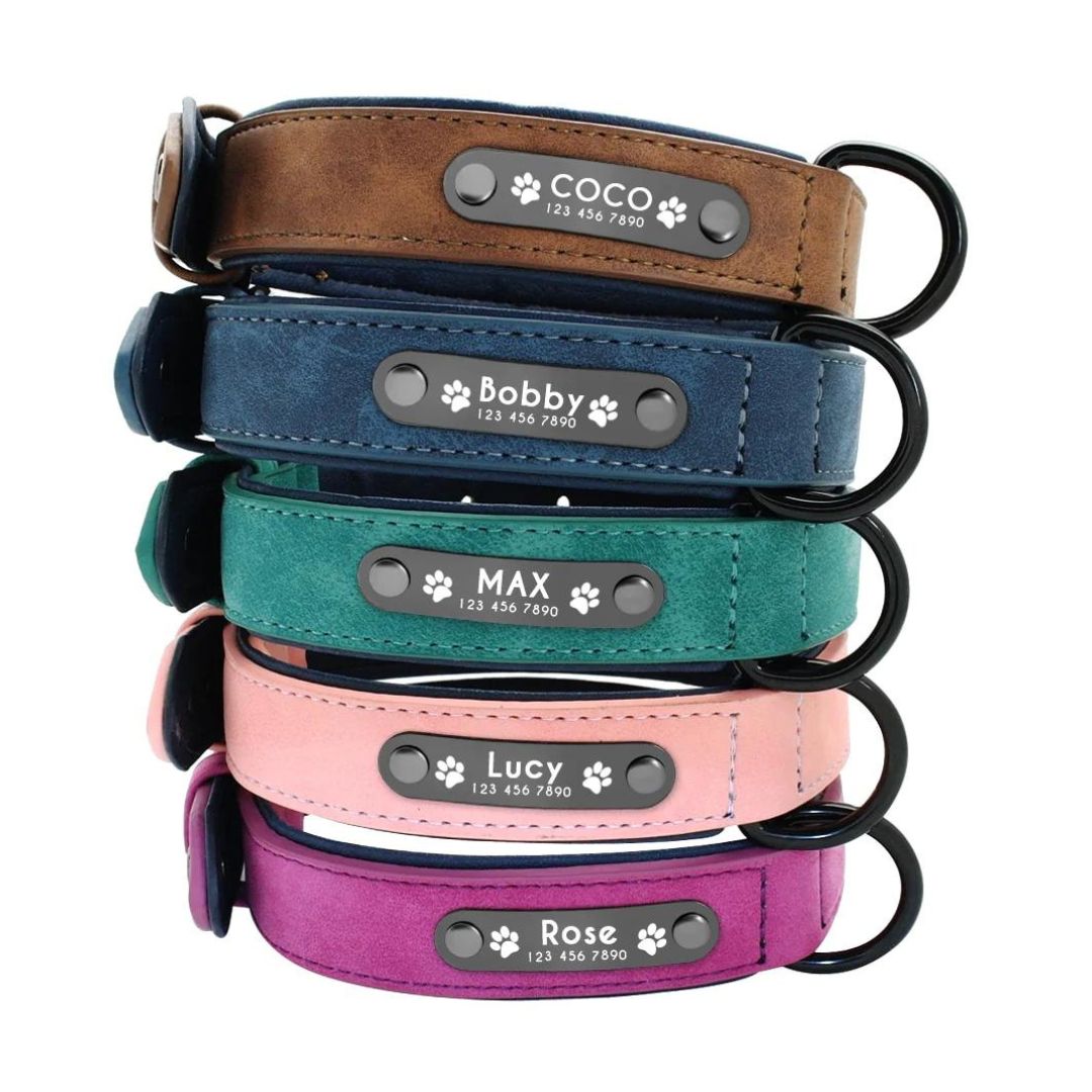 Leather Collar + Leash Set