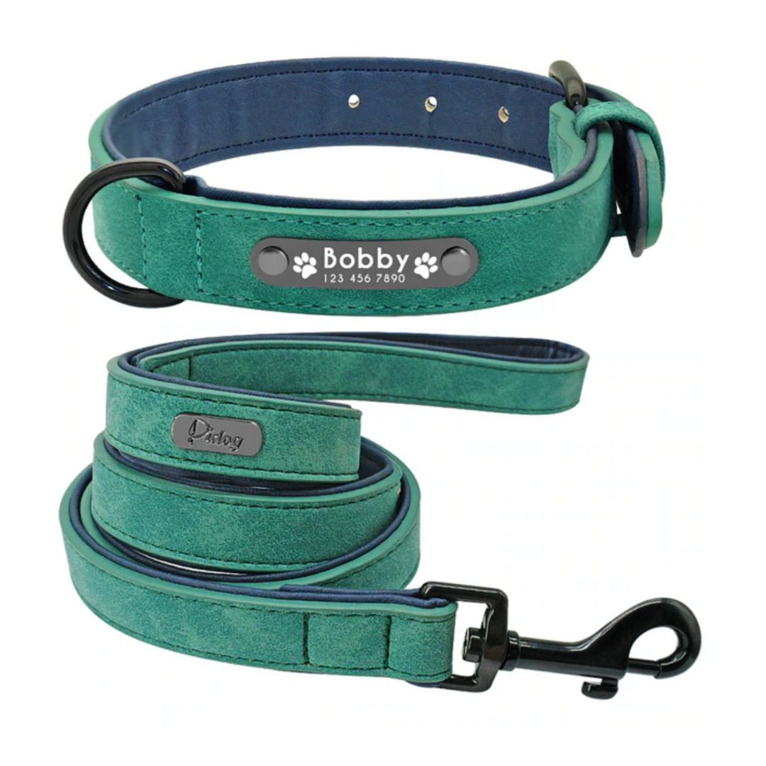 Leather Collar + Leash Set