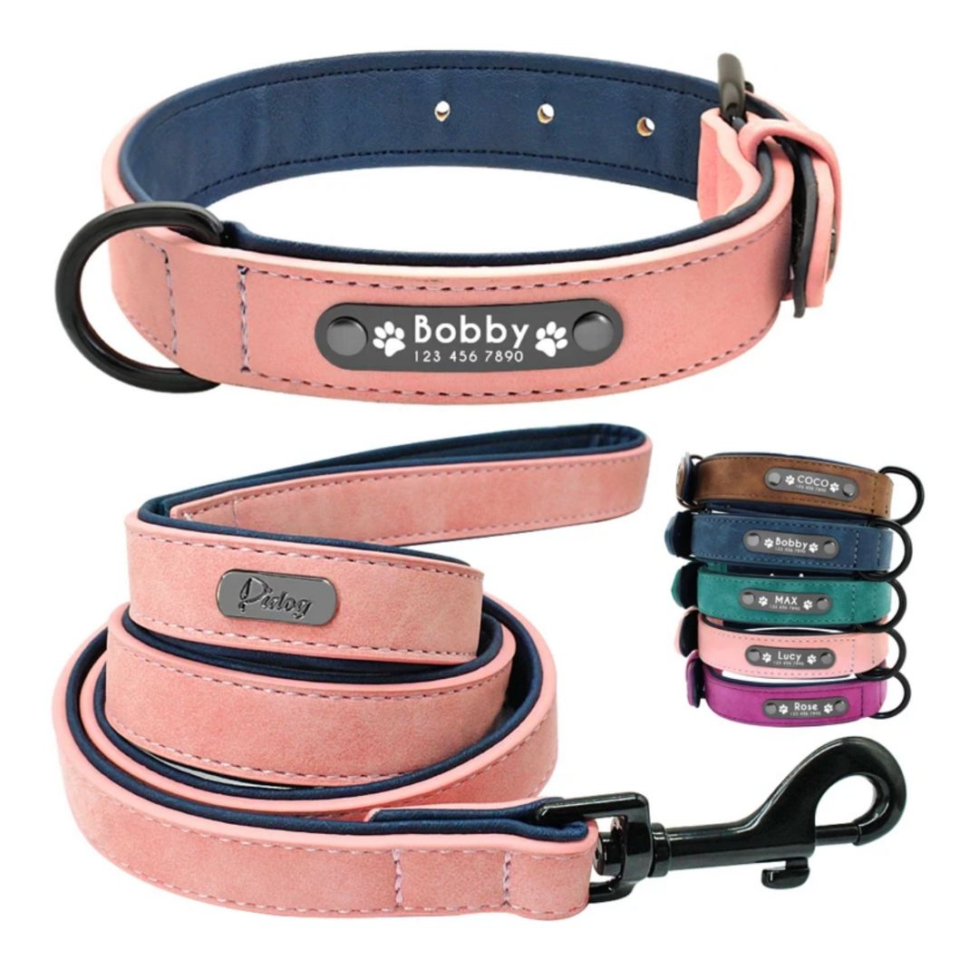 Leather Collar + Leash Set