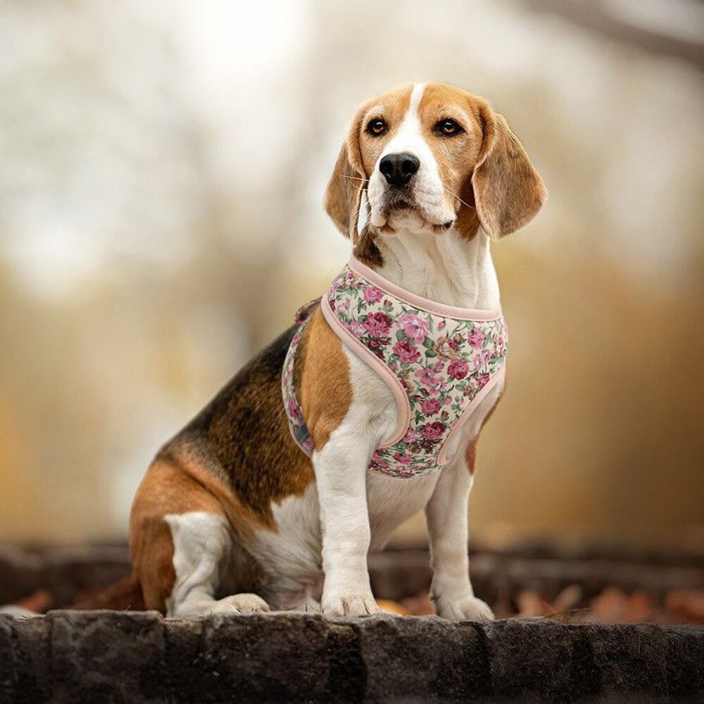 Precious Print Harness