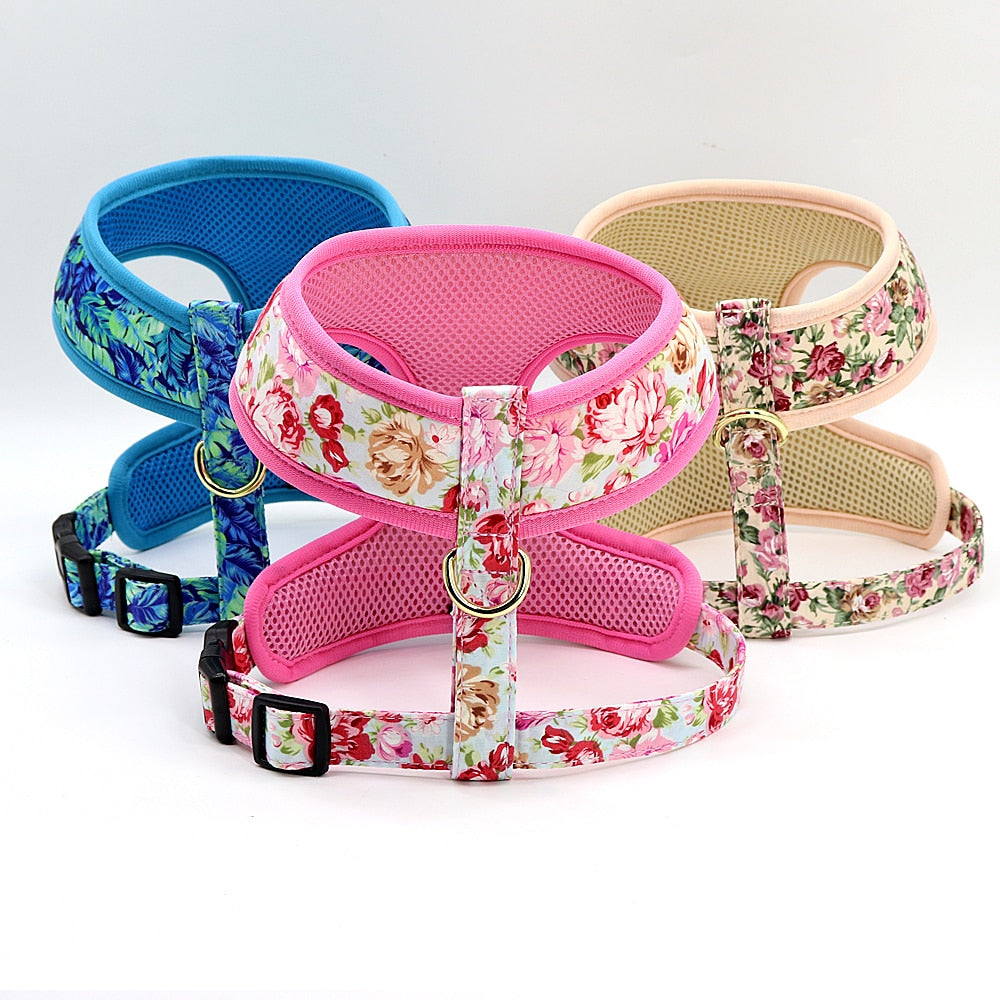 Precious Print Harness