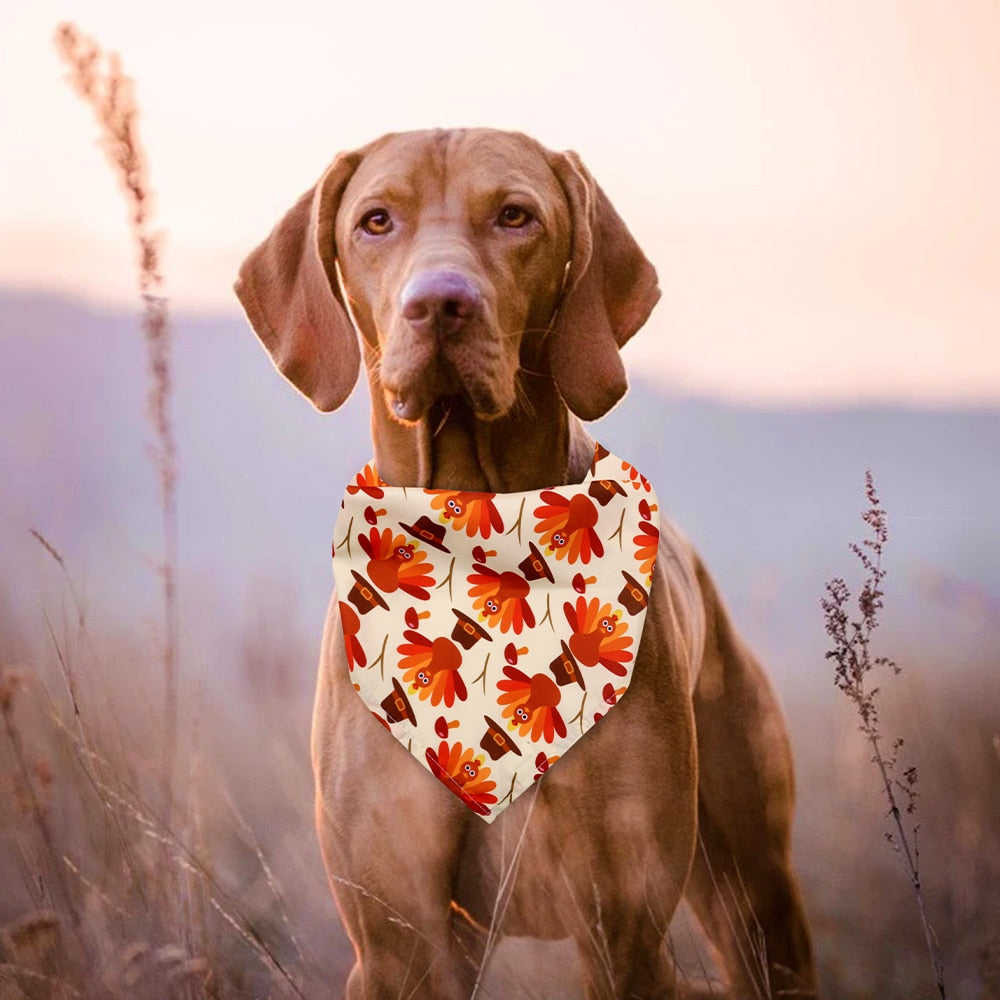 Festive Fall Bandanas