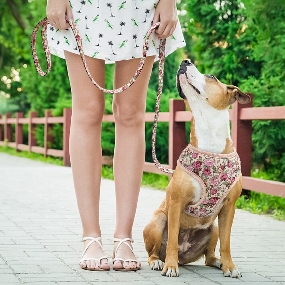 Precious Print Harness