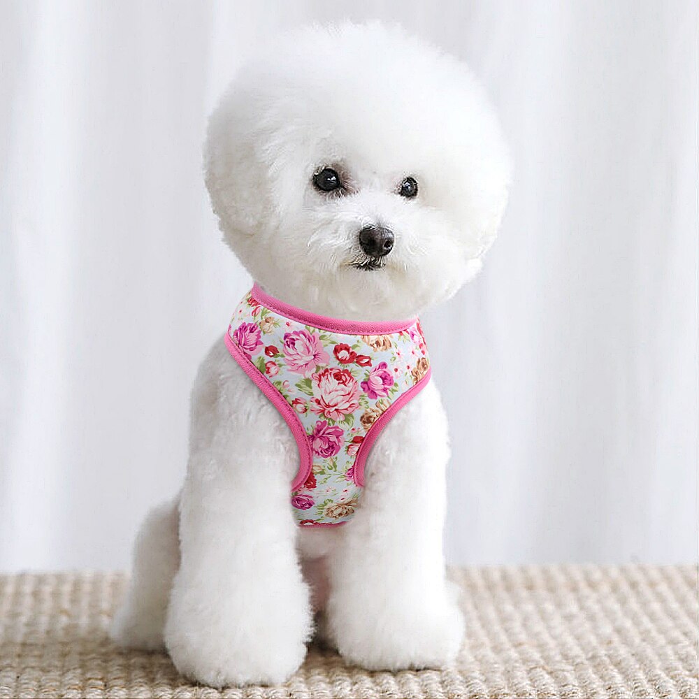 Precious Print Harness