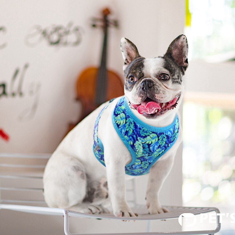 Precious Print Harness