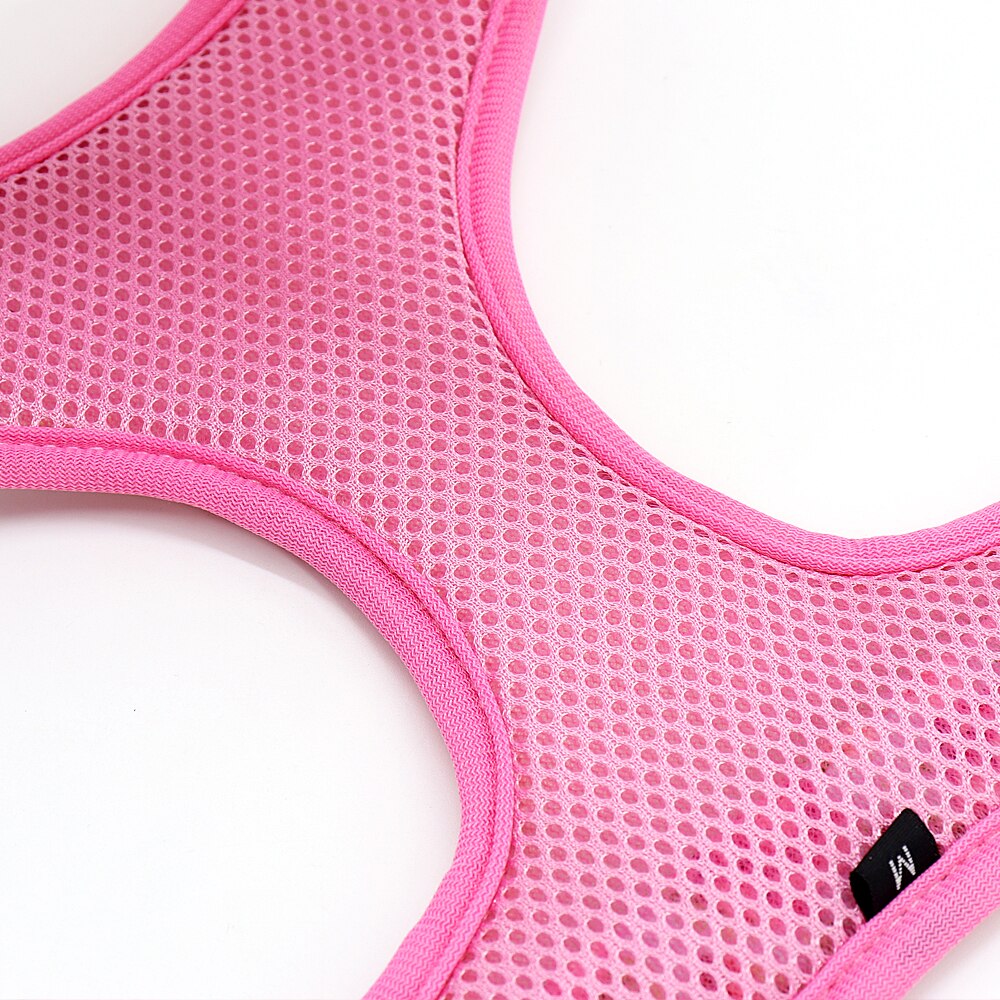 Precious Print Harness