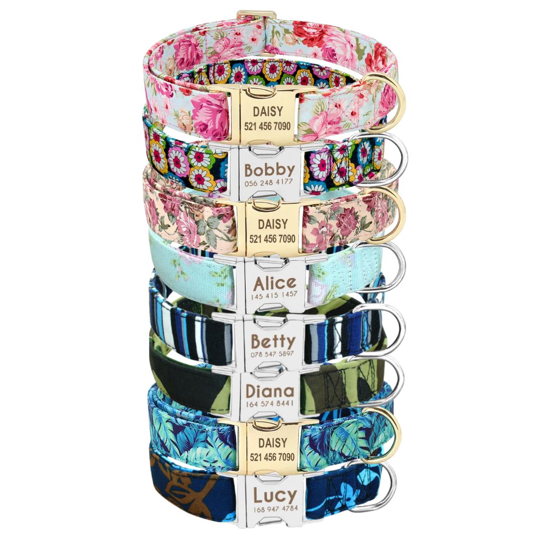 Personalized Print Collar
