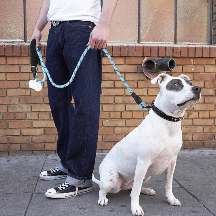 Comfort Leash