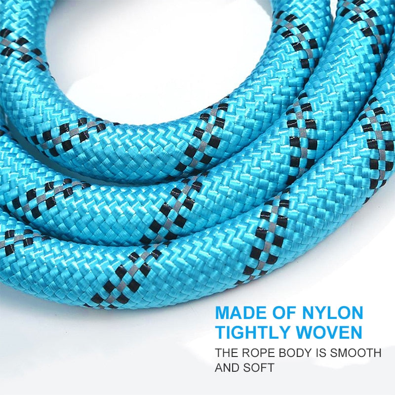 Comfort Leash