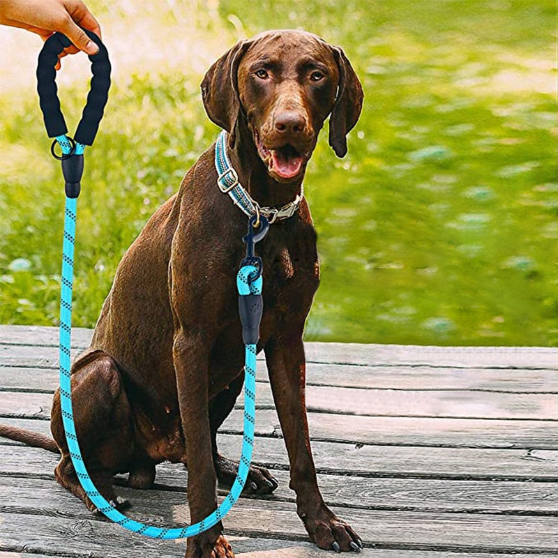 Comfort Leash