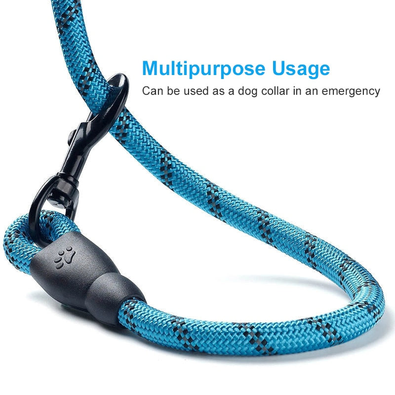 Comfort Leash