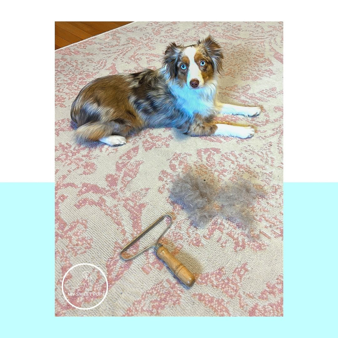 Miracle Pet Hair Remover