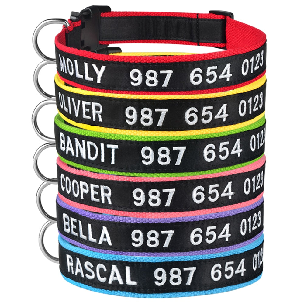 Embroidered Personalized Collar