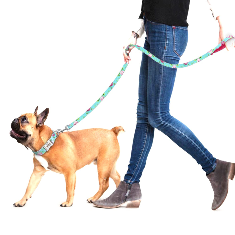 Precious Print Leashes