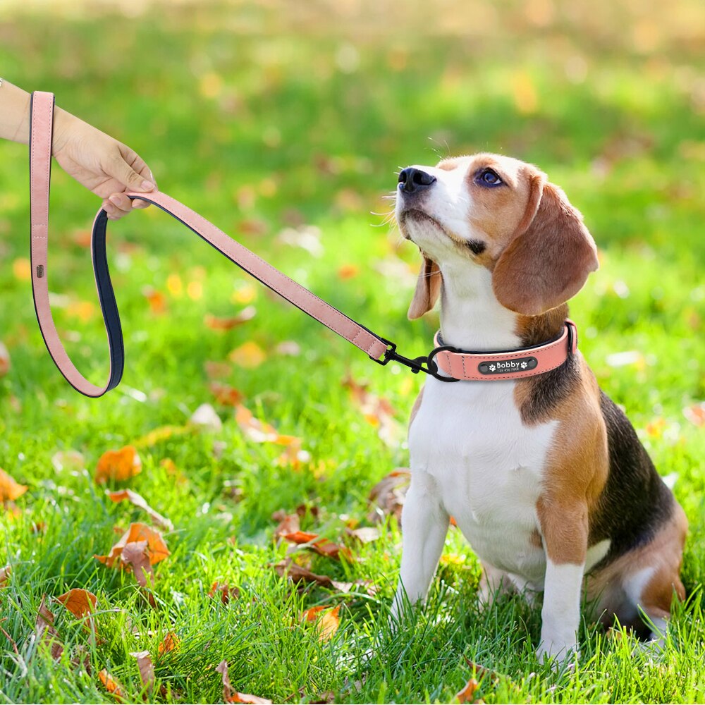 Leather Collar + Leash Set