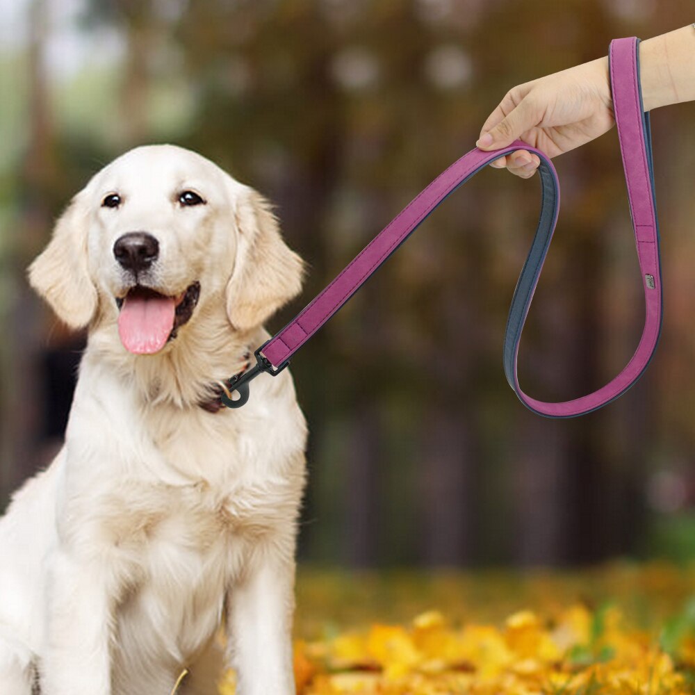 Leather Collar + Leash Set