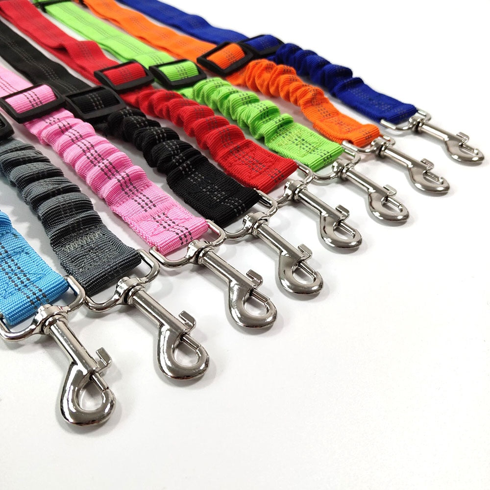 Pup Seatbelt (Buckle)