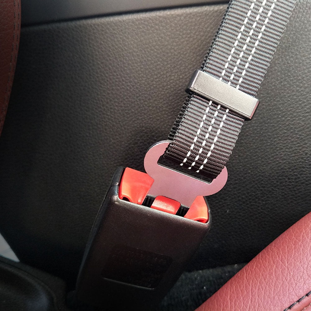 Pup Seatbelt (Buckle)