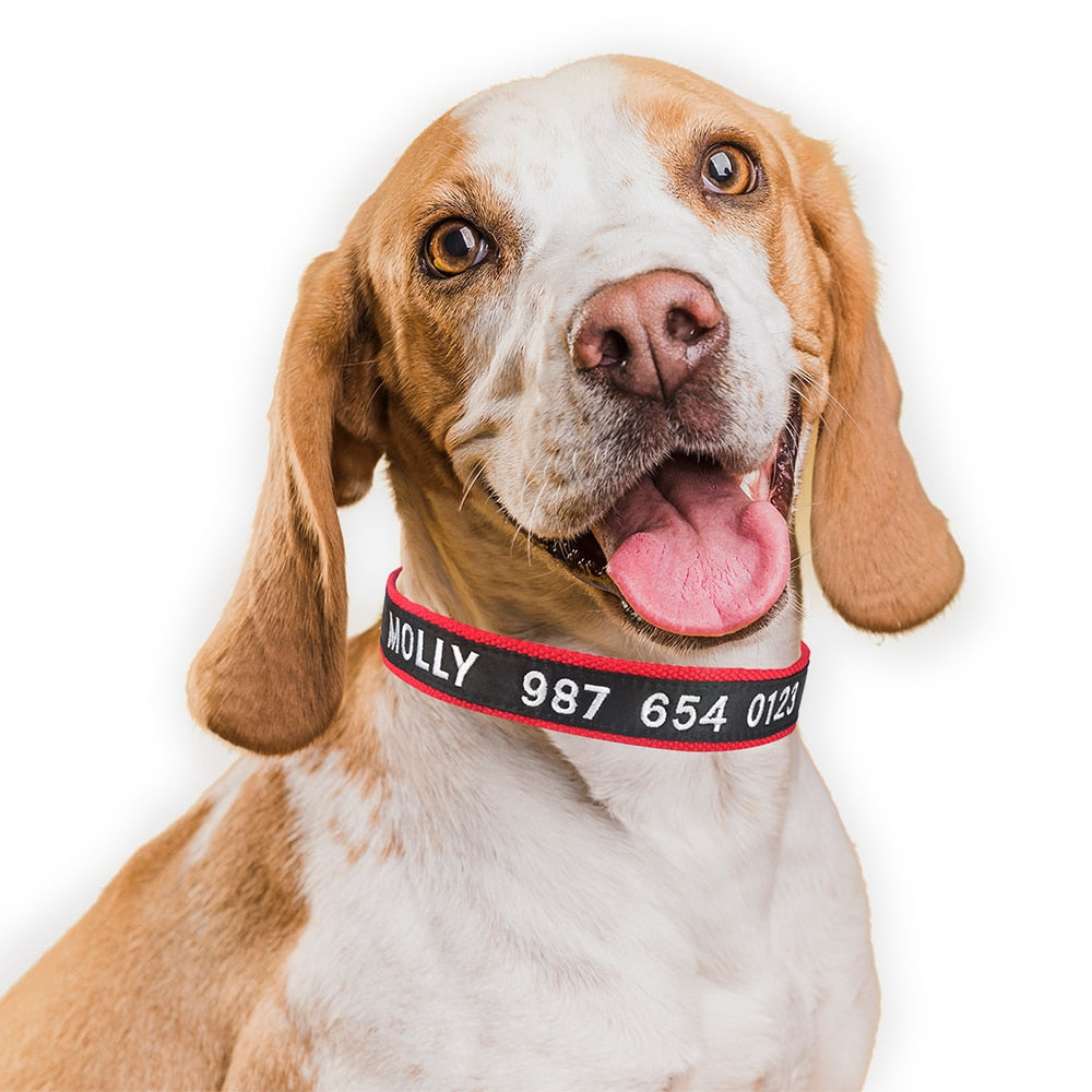 Embroidered Personalized Collar