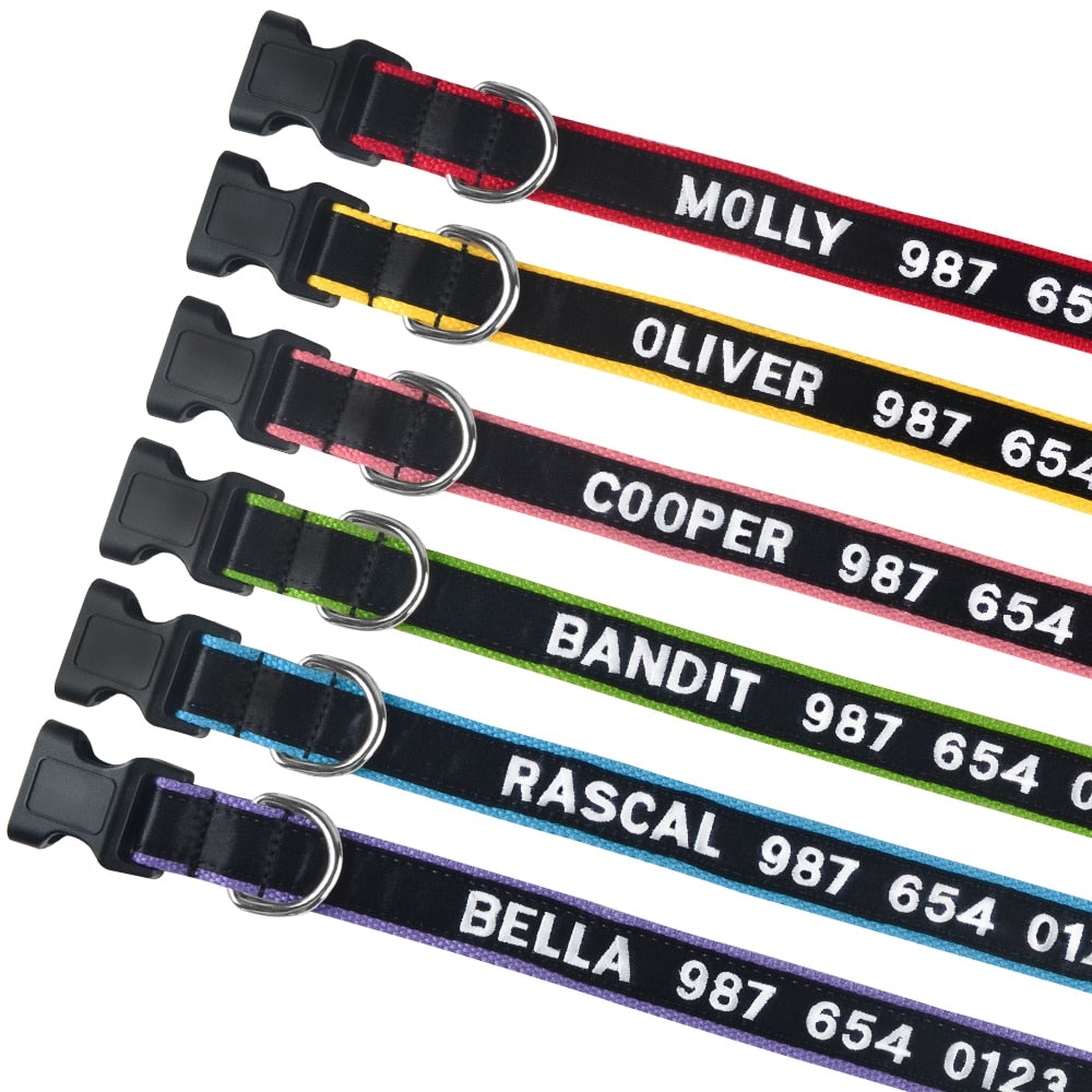 Embroidered Personalized Collar