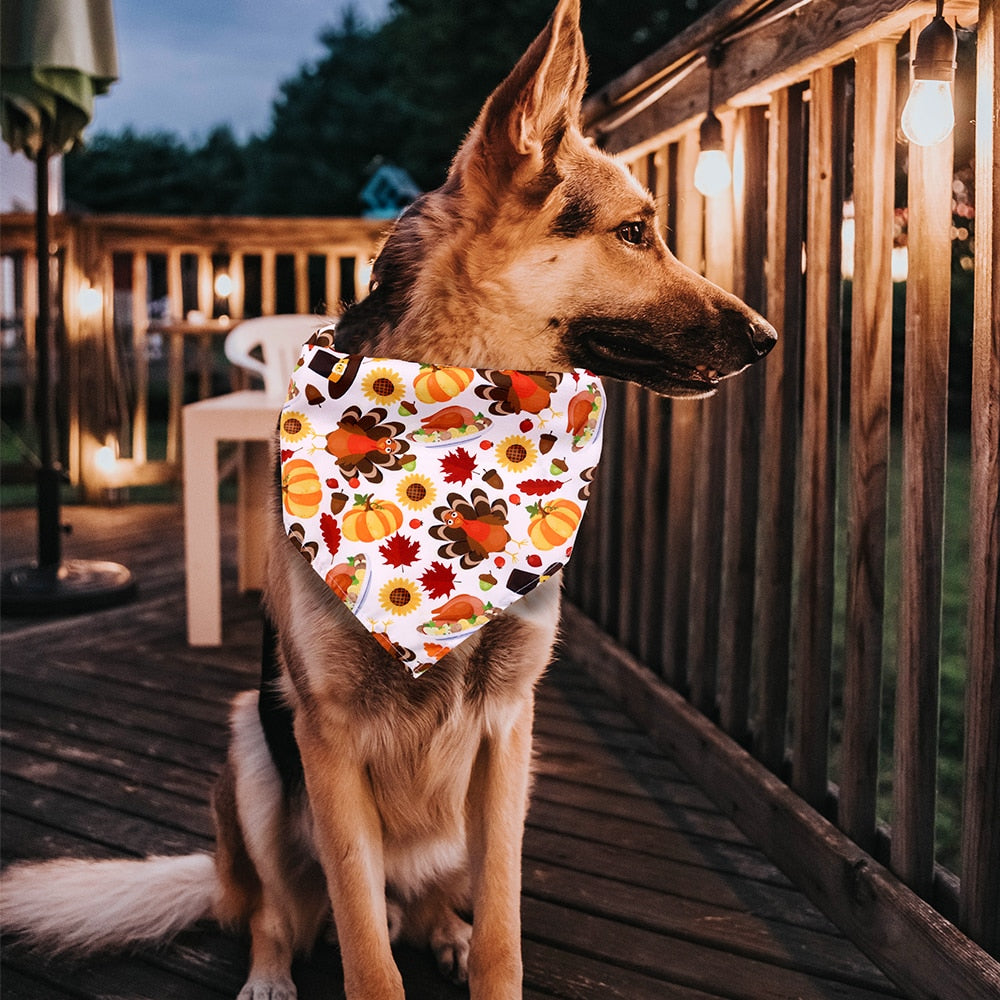 Festive Fall Bandanas