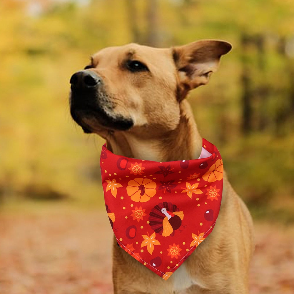 Festive Fall Bandanas