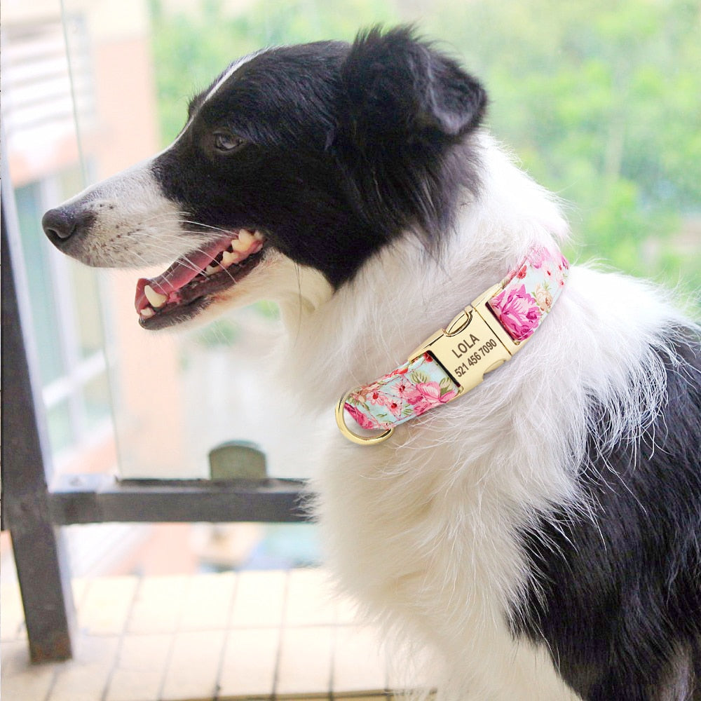 Personalized Print Collar